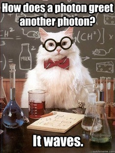 Chemistry Cat (2)